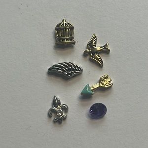 Origami Owl charm. Birdcage, bird, angel wing, arrow, purple crstl, fleur de lis